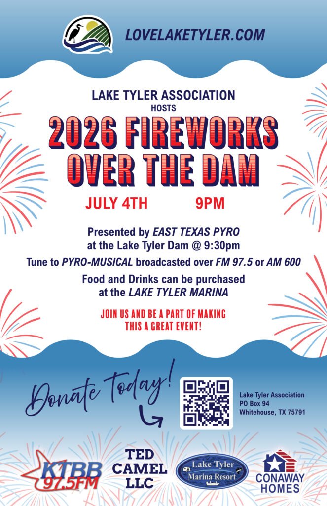 lta 11x17 vertical fireworks poster
